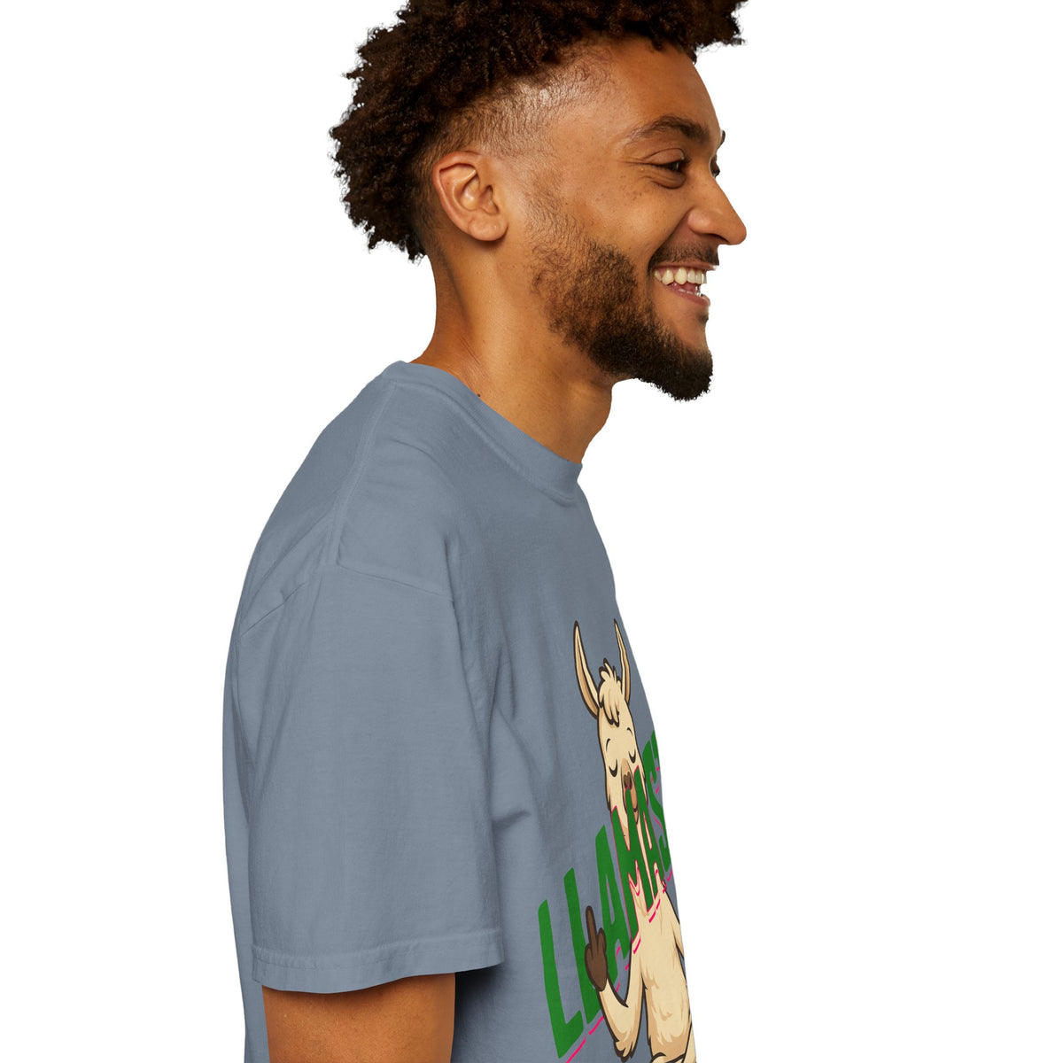 FPD - Llamaste B*itches Yoga Llama Funny Meditation Streetwear Unisex Heavyweight Cotton T-Shirt, Sarcastic Zen Animal Graphic Tee